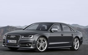 S8