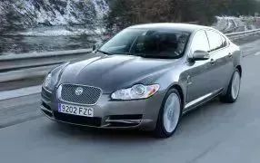 XF